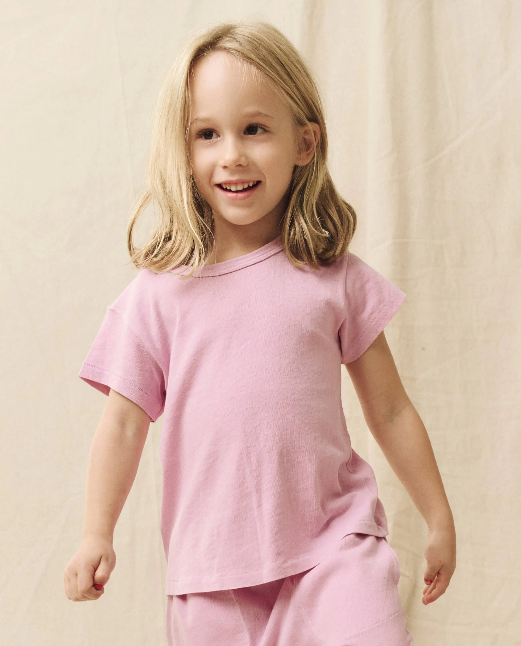 The Little Boxy Crew. Solid -- Lilac Blossom