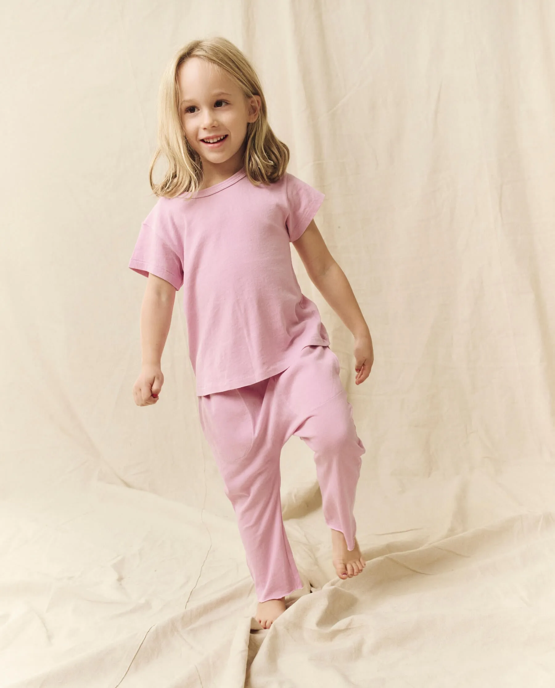 The Little Boxy Crew. Solid -- Lilac Blossom